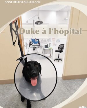 Duke à l'hôpital - Livre à l'unité