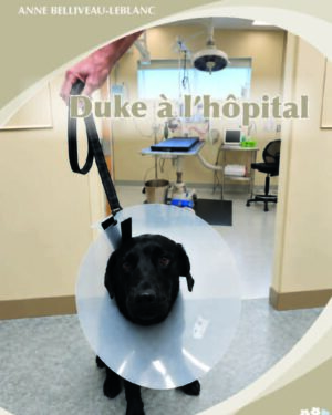 Duke à l'hôpital<br/> Sous-total :